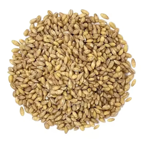 T-YEM Arpa Tane 10 Kg – Çiftlik Hayvanları İçin Kaliteli Yem Seçeneği - Görsel 3