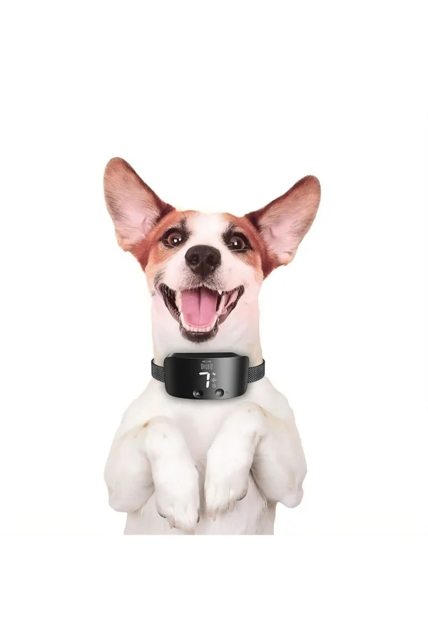 Doggie Havlama Önleyici Eğitim Tasması – Şarjlı | Ayarlanabilir | Siyah - Görsel 2