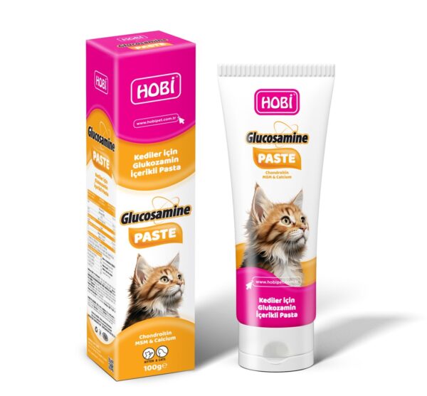 Hobi Glucosamine Paste 100gr – Kediler İçin Glukozamin Destekli Vitamin ve Mineral Pastası