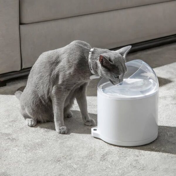 Catlink Pure 2 UV Akıllı Su Pınarı – 2.6 Lt Ultra Filtreli, Sessiz Pompa, Wi-Fi Kontrollü - Görsel 8