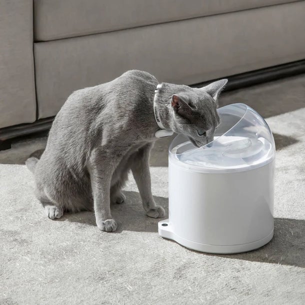 Catlink Pure 2 UV Akıllı Su Pınarı – 2.6 Lt Ultra Filtreli, Sessiz Pompa, Wi-Fi Kontrollü - Görsel 8