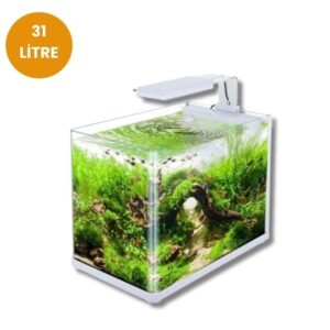 Sobo CR-400F LED Işıklı Filtreli Akvaryum Seti – 31L Üstü Açık Cam Tank, Kompakt ve Modern Tasarım