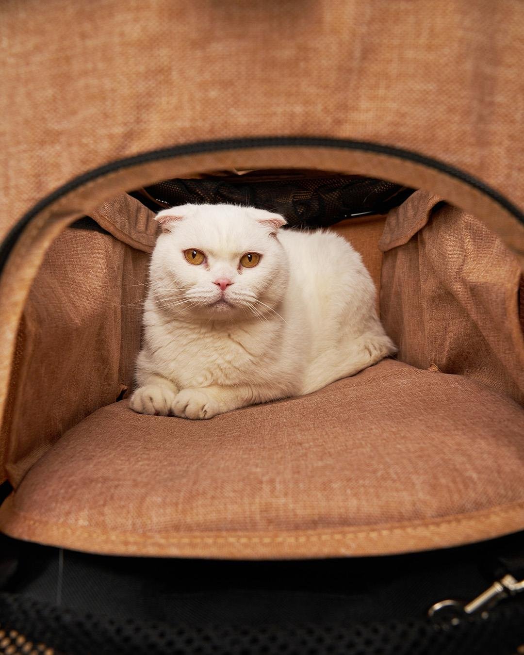 Zampa Melona Kedi Köpek Arabası Haki SP05CST-K - Katlanabilir, Hafif ve Şehir Hayatına Uyumlu Taşıma Konforu - Görsel 8