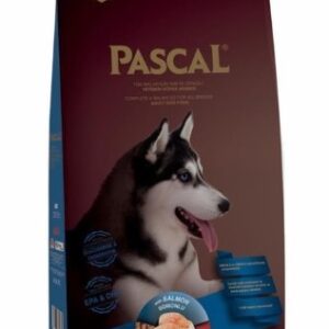 Pascal Somonlu Yetişkin Köpek Maması 15 Kg – Cilt ve Tüy Sağlığına Özel Premium Beslenme
