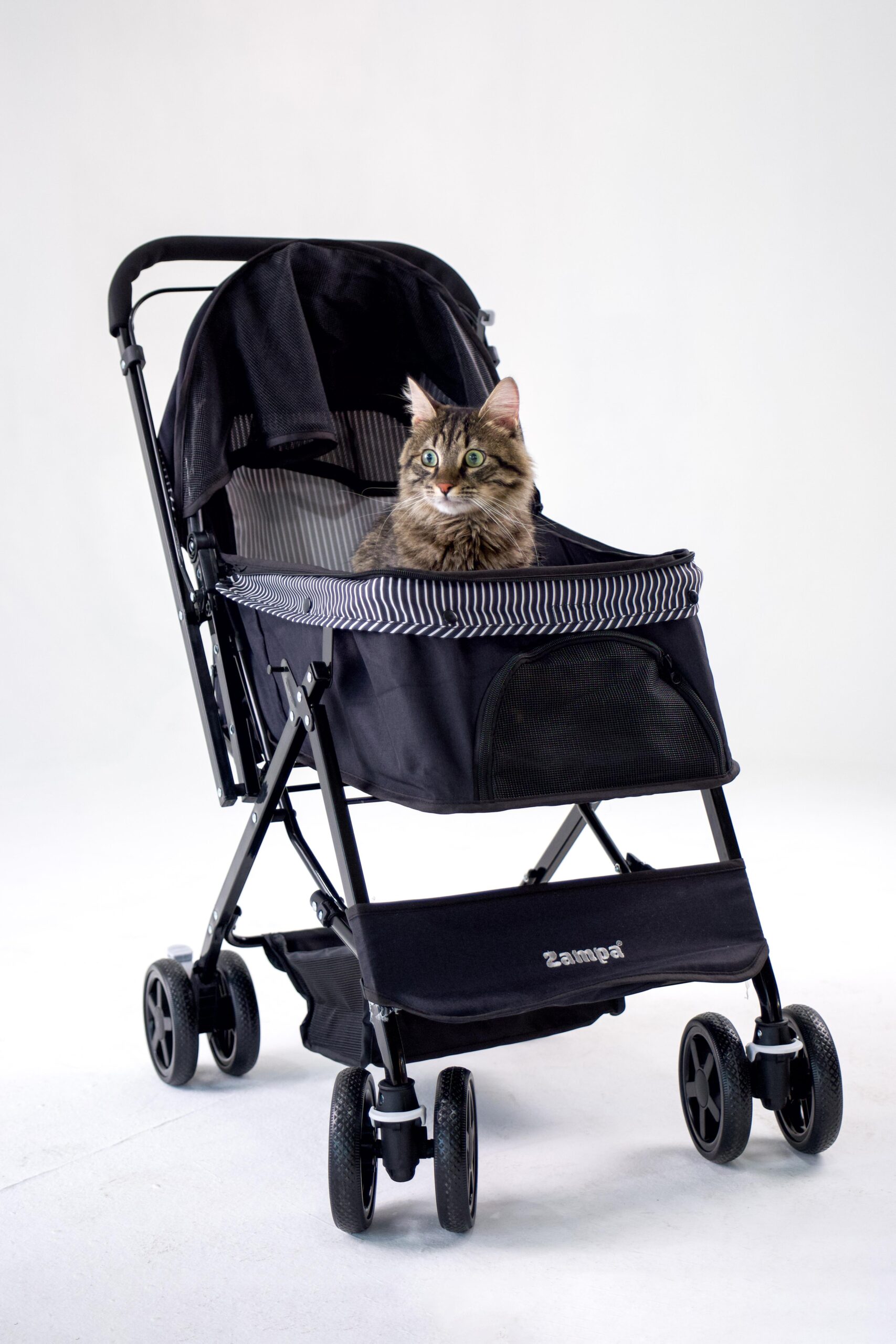 Zampa Nova BL08B Siyah Kedi Köpek Arabası – Katlanabilir, Çelik Gövdeli, 20 Kg Taşıma Kapasiteli