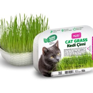 Hobi Fileli Kedi Çimi Cat Grass Ekonomik – Sindirim Dostu ve Eğlenceli Aktivite