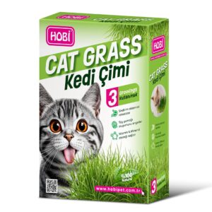 Hobi Kedi Çimi – Cat Grass (3 Kullanımlık) 🌱 Doğal Buğday Tohumlu Sindirim ve Sağlık Desteği