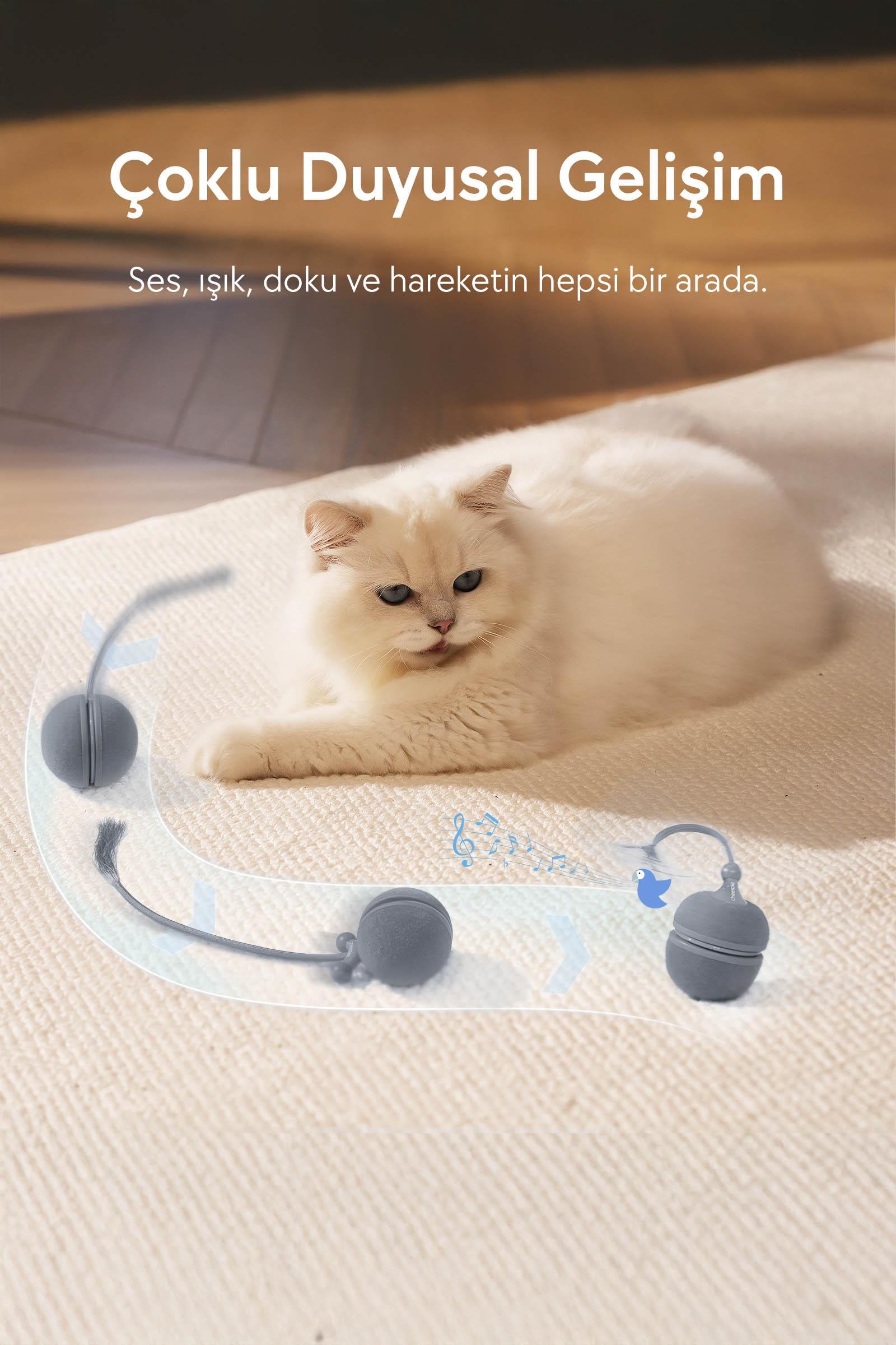 Cheerble Wicked Ball Duo2 Gri (CWJ04-G)| 2-in-1 İnteraktif Şarjlı Kedi Oyuncağı - Görsel 5