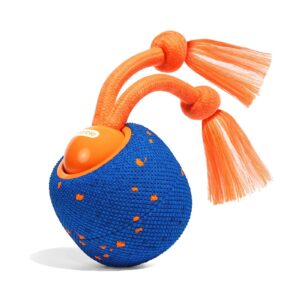 Cheerble Wicked Ball Rolly Mavi (CWQ07-BL)| Şarjlı, İpli ve İnteraktif Köpek Oyuncağı