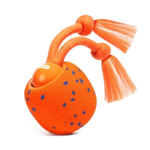 Cheerble Wicked Ball Rolly Turuncu (CWQ07-O)| Şarjlı, İpli ve İnteraktif Köpek Oyuncağı