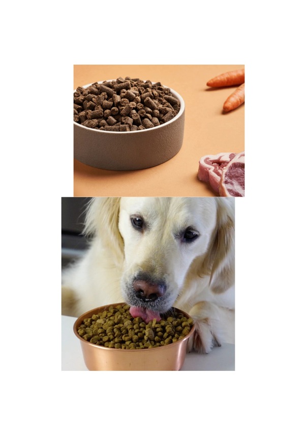 TOUGY Beef Dana Etli Yetişkin Köpek Maması 15 Kg - Tam ve Dengeli Günlük Beslenme Formülü - Görsel 3